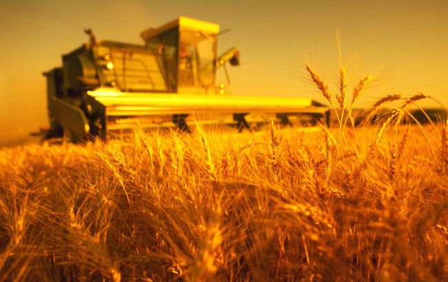В Украине намолочено 4,5 млн тонн зерна нового урожая, - МинАП