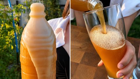 І не треба купувати в магазині: швидкий рецепт домашнього квасу за три години