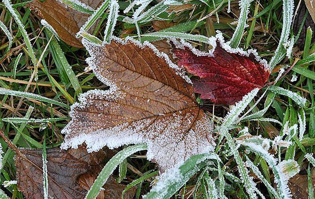 Синоптики попереджають про пожежну небезпеку та заморозки в Україні