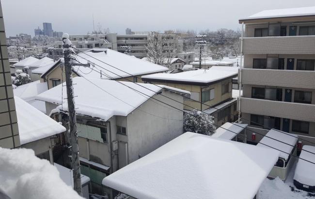 В Японии из-за сильных снегопадов погибли 15 человек