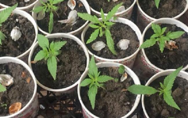 Во Львовской области ликвидировали крупную нарколабораторию