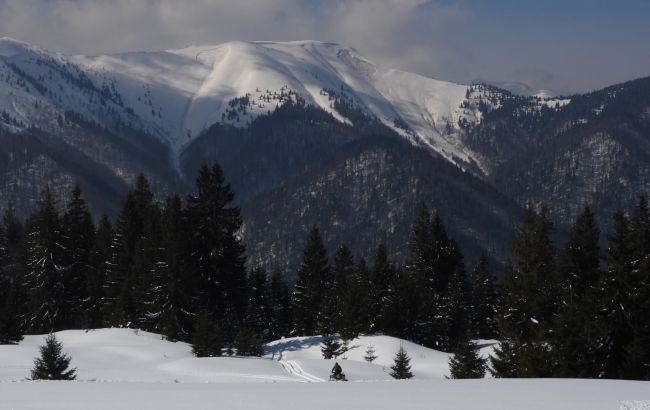 У Карпатах зійшла величезна лавина: з'явилися фото