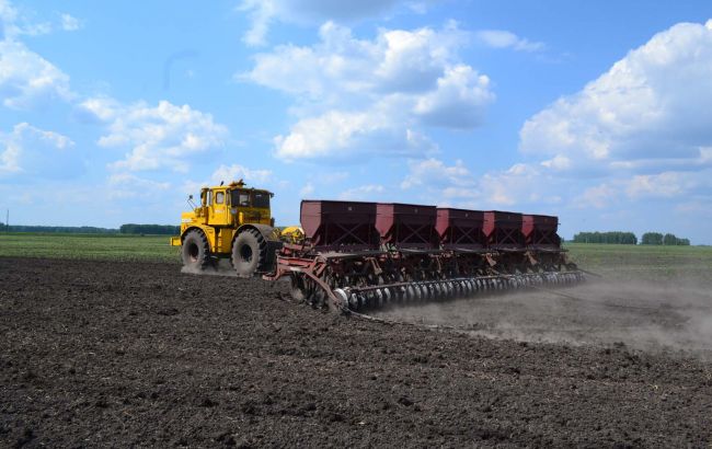 В Украине началась посевная кампания: какую площадь выделили под сельхозкультуры
