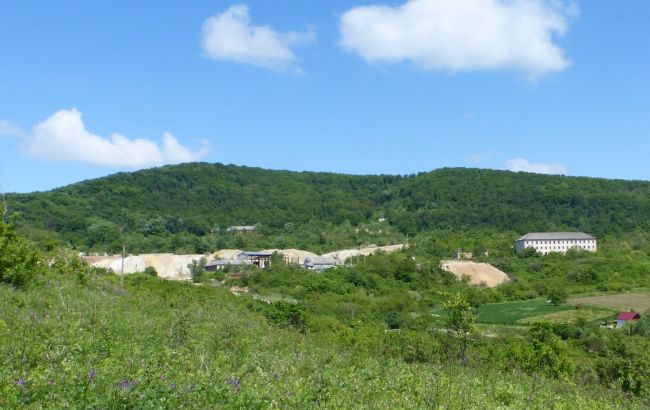 Avellana Gold заявляє, що є єдиним інвестором проекту Мужіївського родовища