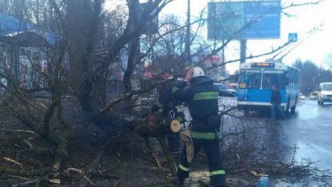 В Украине из-за непогоды обесточены почти 50 населенных пунктов