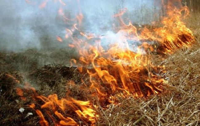 ГСЧС предупреждает о пожарной опасности 5 класса в Украине 10-12 сентября