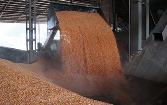 Глава МинАП прогнозирует увеличение за 2 года урожая зерновых в Украине до 100 млн т
