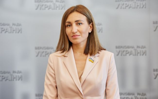 Плачкова: доработанный правительством проект бюджета - документ с "мертвым будущим"