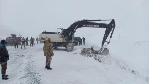 Лавина в Турции: число погибших резко возросло