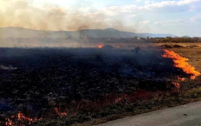В Закарпатской области горел заповедник: поджигателю сообщили о подозрении