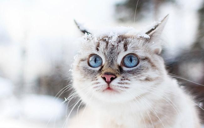 "Начнет робко теплеть": синоптик дала обнадеживающий прогноз погоды на начало недели