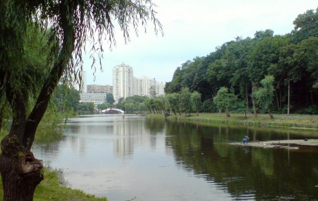 В Голосеевском парке в Киеве избили и ограбили видеооператора