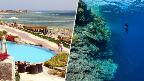 Піщана лагуна і коралові сади: у популярній локації Єгипту з'явиться новий курорт