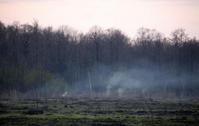 Під Києвом триває тління торфовищ