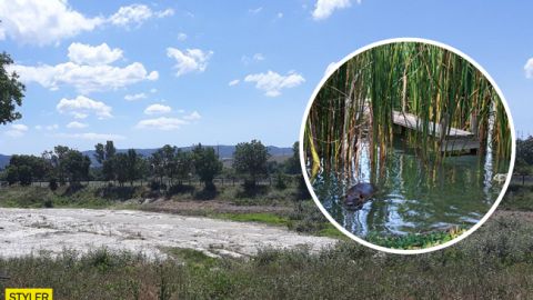 У Криму зникло красиве озеро: місцеві жителі в шоці
