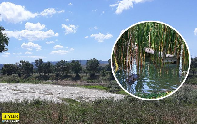 В Крыму исчезло красивое озеро: местные жители в шоке