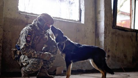 Украинские воины снялись&nbsp;с бездомными животными, чтобы помочь обрести им семью: милые фото