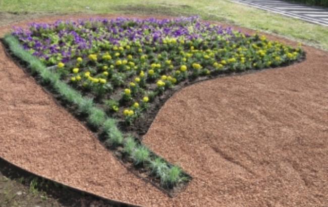 В Мелитополе появится флаг Украины из можжевельника