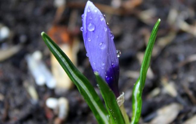 Погода на Благовіщення 7 квітня: дощі можуть зіпсувати плани