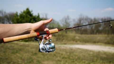 Весенняя рыбалка: выбираем катушки для ультралайтового спиннинга