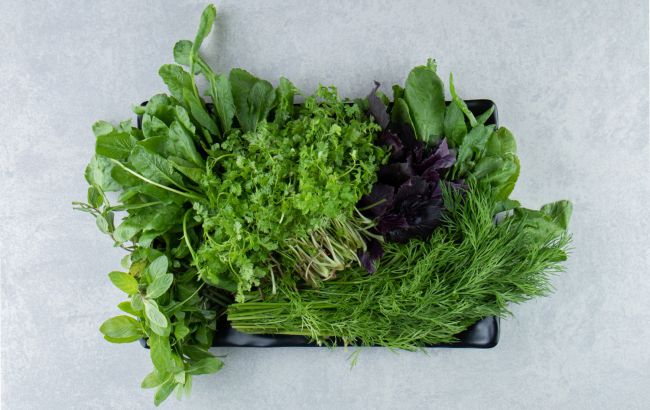 Ці 6 видів зелені варто їсти щотижня: користь для організму вражає