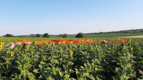 В Полтавской области упал дельтаплан, есть жертвы