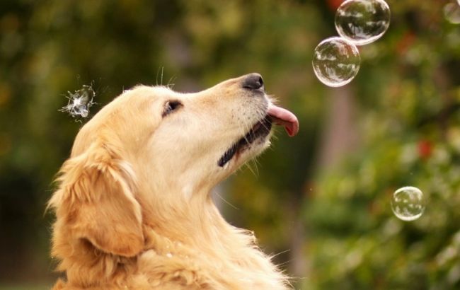 Погода на сегодня: на западе Украины дожди, температура до +33