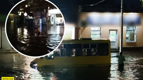 Люди ныряли "кролем", а маршрутки плавали с пассажирами: Кропивницкий затопило ливнем