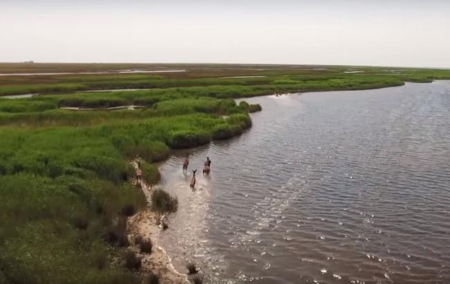 Всю Україну зняли з висоти пташиного польоту