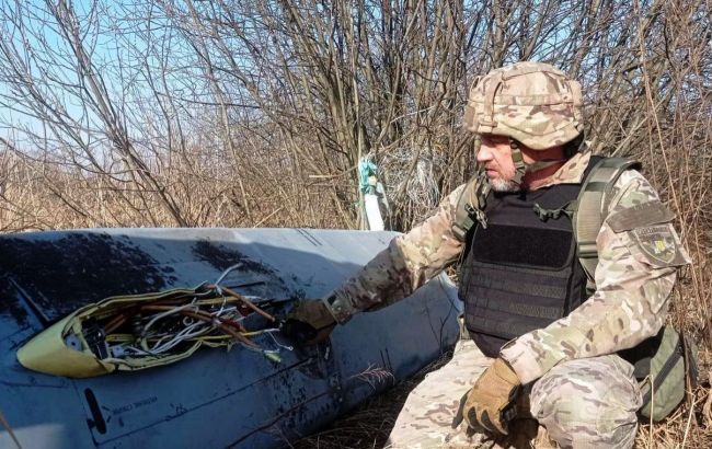 Разлетелись в радиусе 200 метров. Части вражеской ракеты Х-101 обнаружили в Винницкой области (видео)