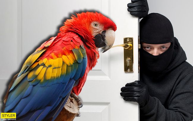 У Луцьку із зоопарку вкрали екзотичних птахів: усі деталі