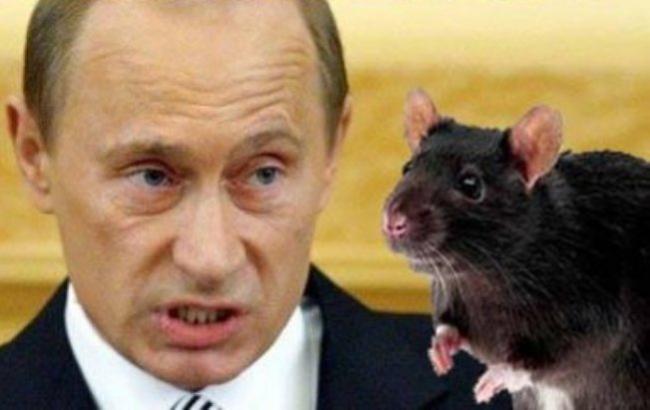 Портников о Путине: "Только крысой он себя и чувствует"