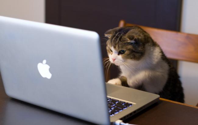 Названы самые вирусные рекламные видео года