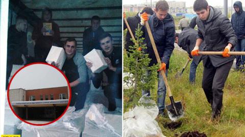 Львівські студенти поскаржилися на експлуатацію праці та хабарництво