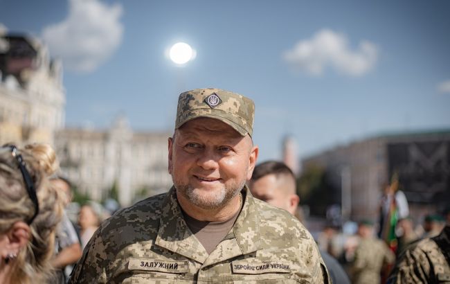 Німецькі генерали таємно відвідували Київ в день відставки Залужного, - Bild