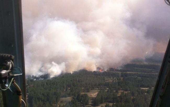 Лісову пожежу в Херсонській області загасили
