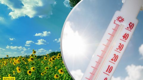 Погода посміхається літу: синоптик дала несподіваний прогноз на понеділок