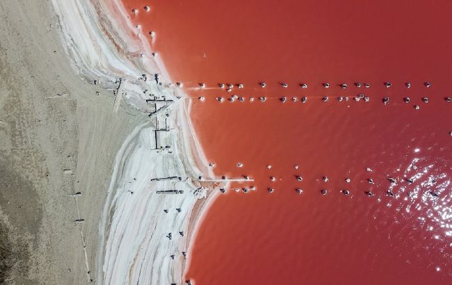 В Крыму знаменитое озеро стало ярко-розового цвета: зрелищные фото