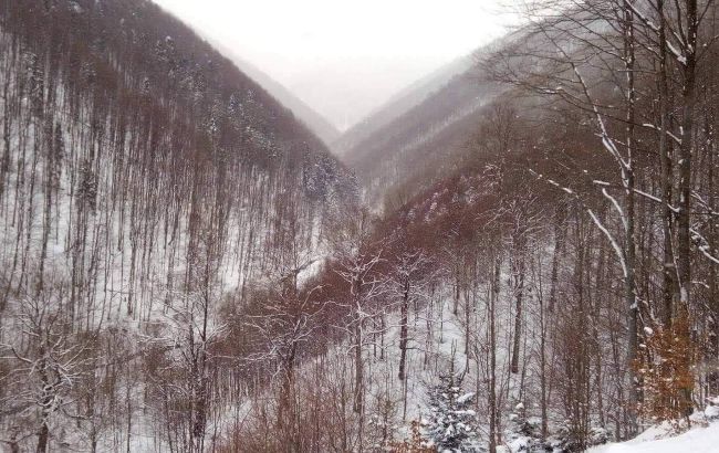 Снегопады в Карпатах: есть угроза схода лавин