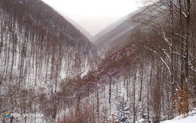 Закарпатье накроет ливень, а в горах - угроза схода лавин