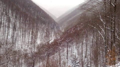 В Карпатах мороз до -12 и метель