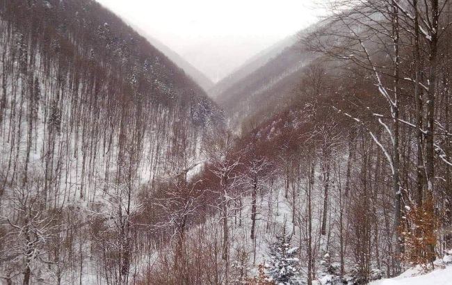 Столбики термометров упали до -33: в горах Черновицкой области зафиксировали лютые морозы