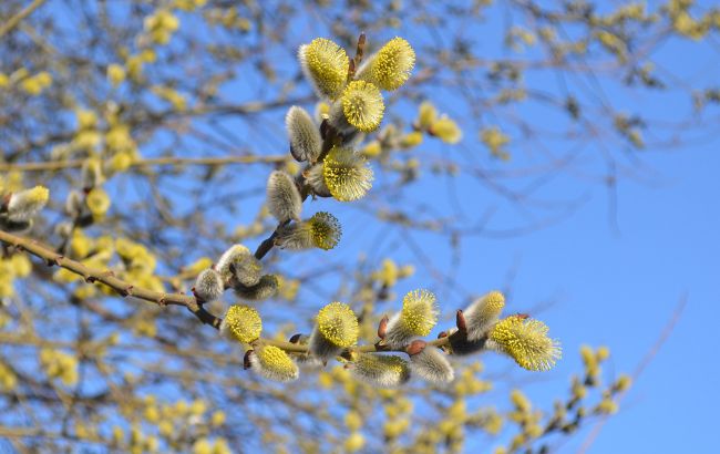 Когда наконец установится теплая погода в Украине: синоптики обновили прогноз