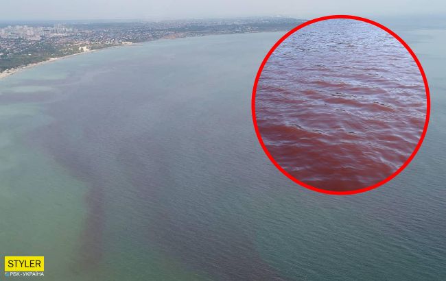 В Одесі море стало червоним: біологи попередили про небезпечні токсини