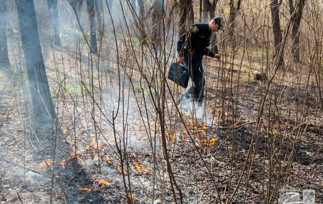 В харьковском парке копы потушили пожар ногами