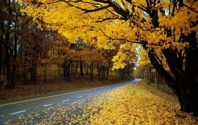 Погода на сегодня: в Украине без осадков, температура до +13