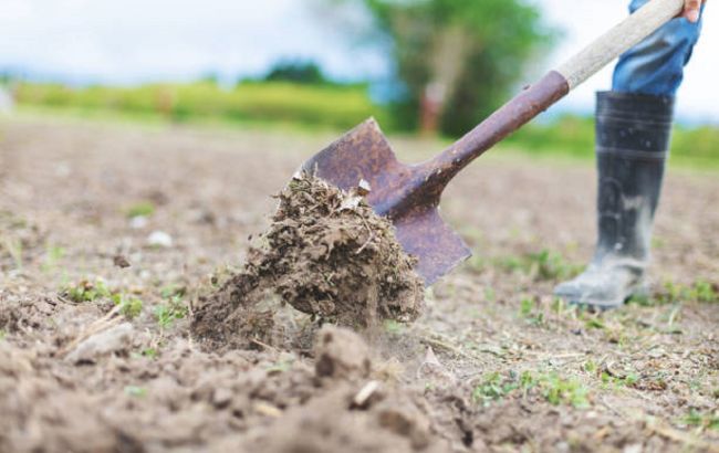 Утепление грядок осенью: как защитить урожай и не навредить почве?