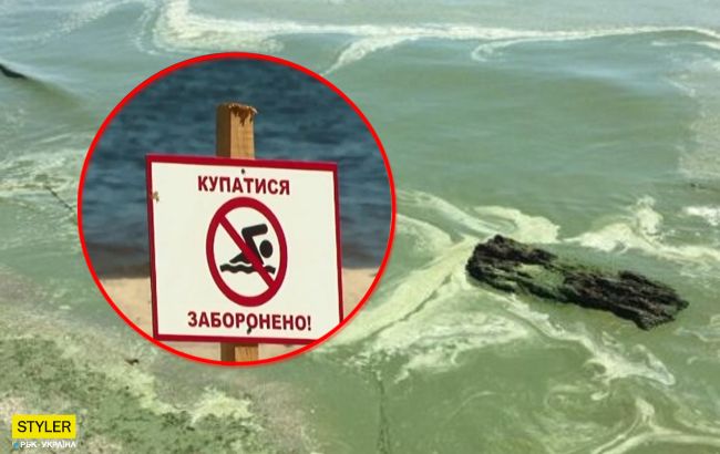 В Черном море нельзя купаться и ловить рыбу: что произошло