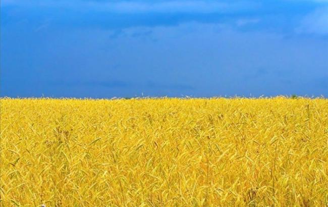 День прапора: історія української символіки