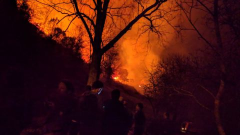 В Испании вспыхнули масштабные лесные пожары